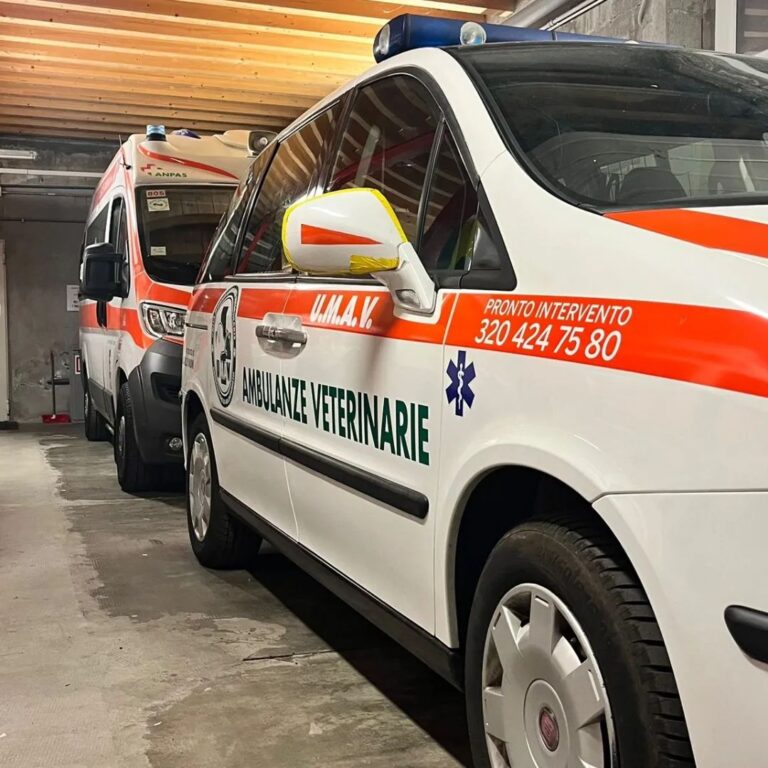Ambulanze Veterinarie UMAV 01 768x768