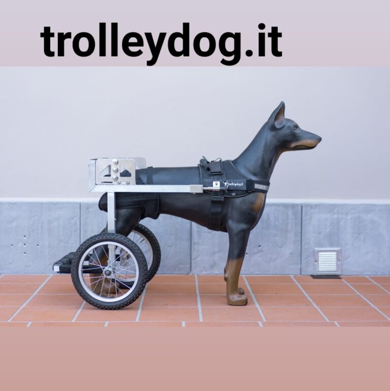 Trolleydog carrellini cani disabili 01 768x769